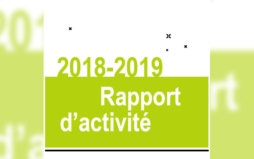 Le 1er rapport d’activité 2018 / 2019